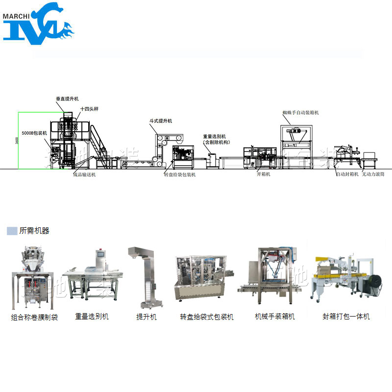 小袋裝大袋包裝流水線設備